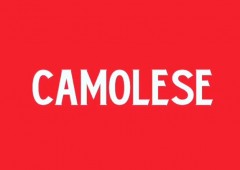 Camolese